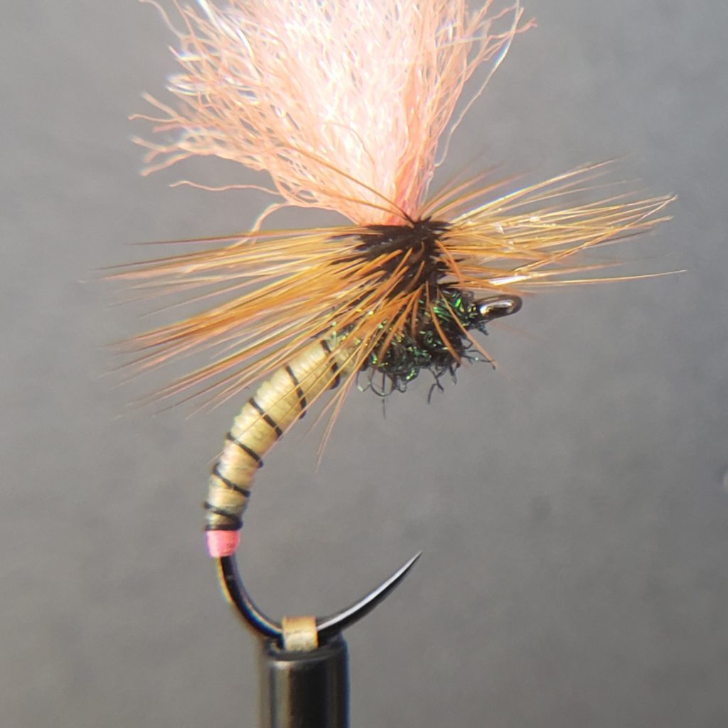 Meet the Winners: The 9th Annual Fly Tying Competition - Project