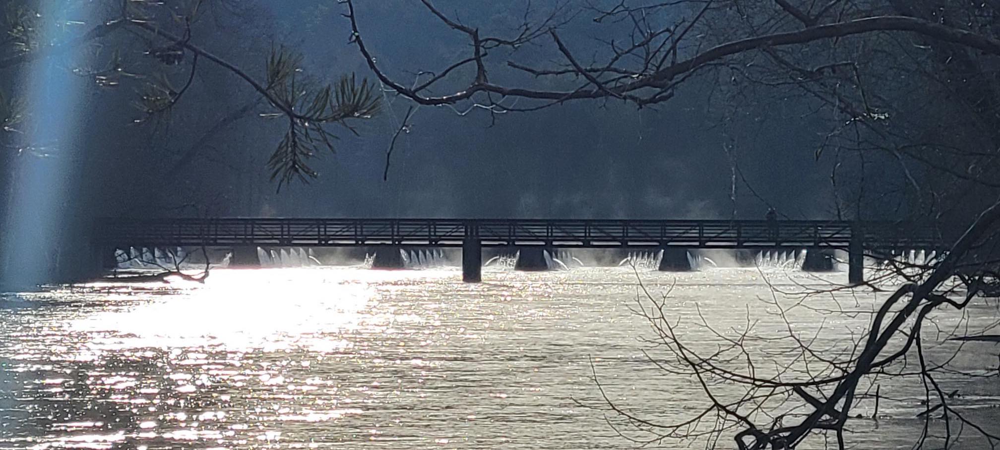 Bay Pines PHW Veterans Fish The South Holston River - Project Healing  Waters : Project Healing Waters